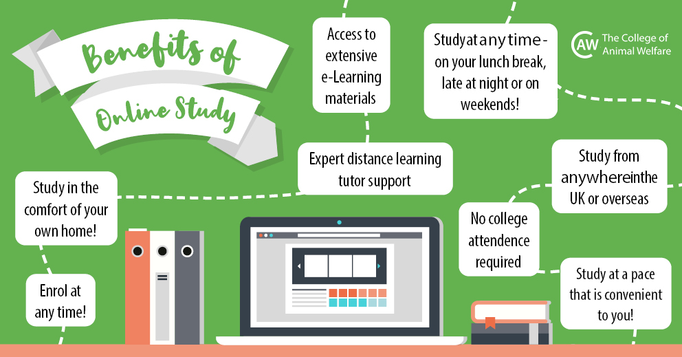 The Benefits of Online Learning for Professional Development